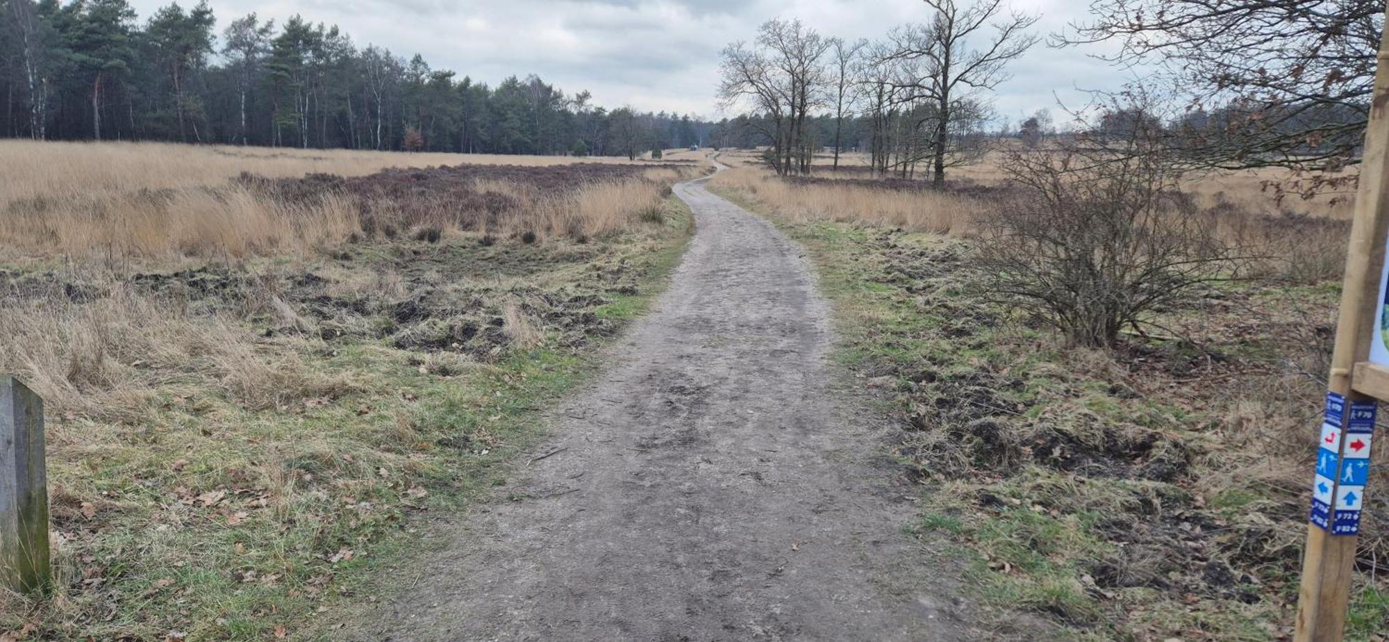 Het Veluwse Boshuisje Knus Chalet Met Omheinde Tuin Op De Veluwe Хундерло Экстерьер фото