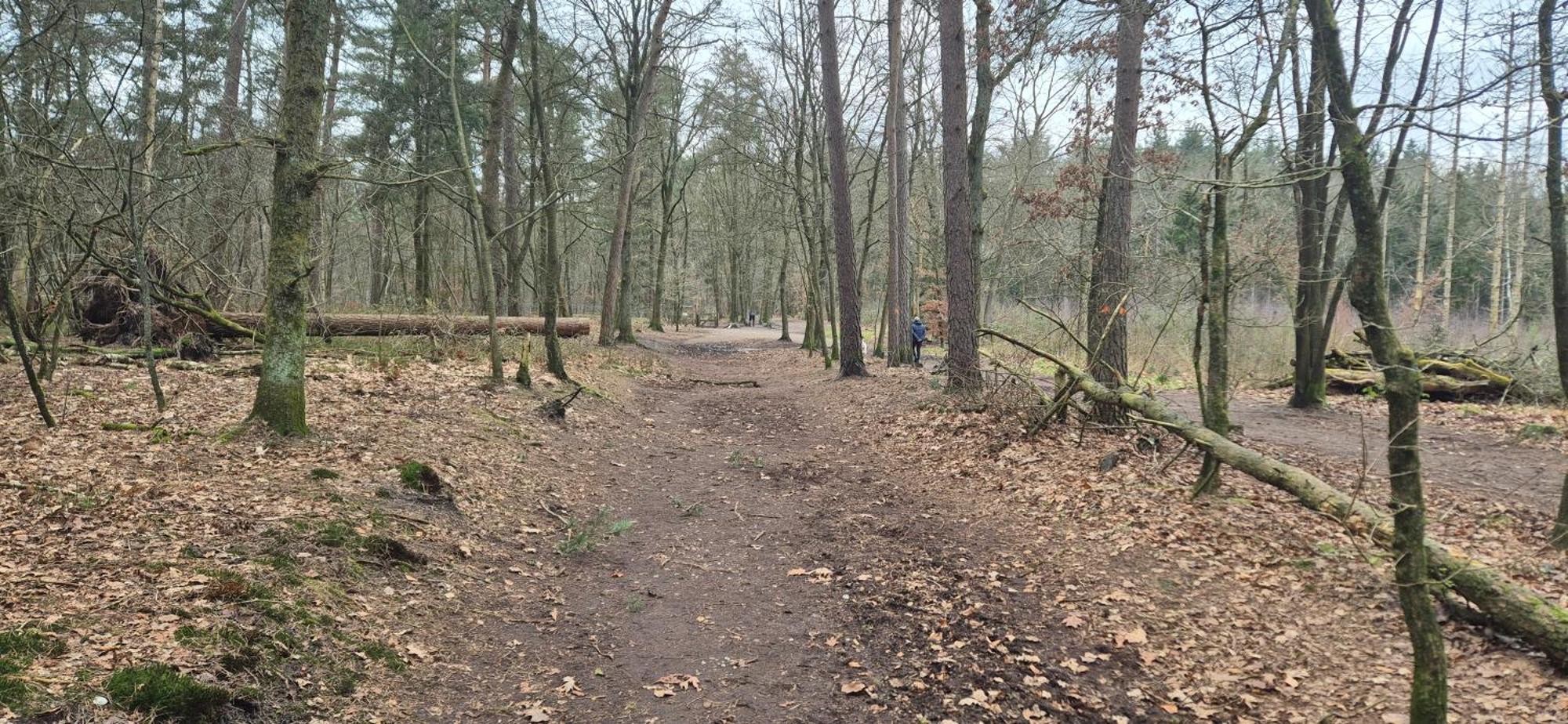 Het Veluwse Boshuisje Knus Chalet Met Omheinde Tuin Op De Veluwe Хундерло Экстерьер фото