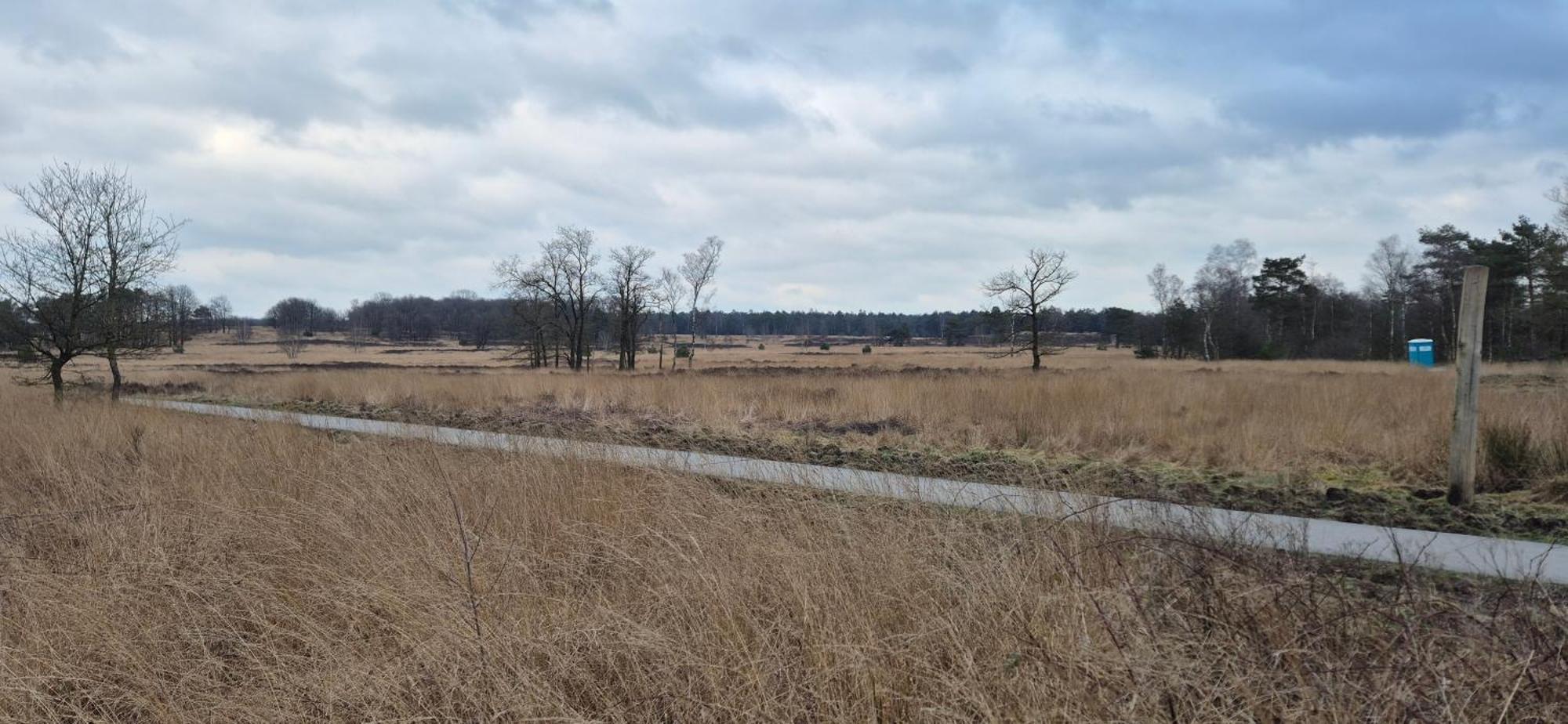 Het Veluwse Boshuisje Knus Chalet Met Omheinde Tuin Op De Veluwe Хундерло Экстерьер фото